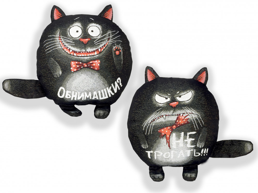 Кот обнимашка