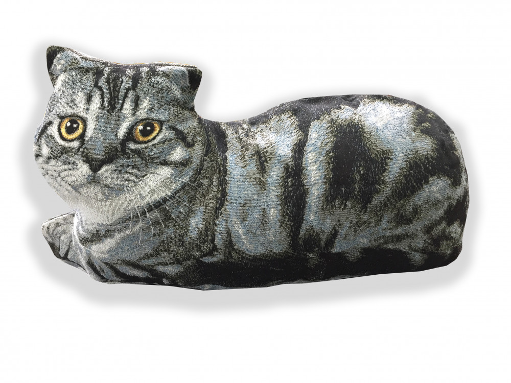 Скоттиш Фолд