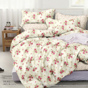 Постельное бельё из поплина зима-лето 2 спальное европростыня - ЗЛ-48