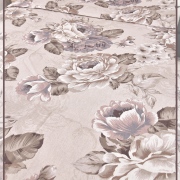 Ампир 2955 вид 1