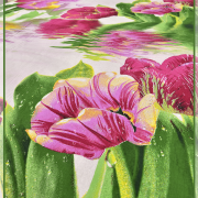 Букет тюльпанов 1542