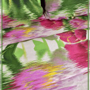 Букет тюльпанов 1542