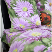 Касандра 1954