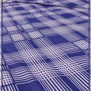 Кортес 500545 вид 1