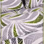 Магистраль 21855-1