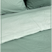 Однотонный зеленый 21014-5