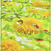 Одуванчик 8171-1