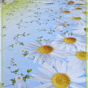 Полевые ромашки 8169-1