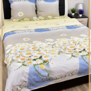 Постельное белье из поплина 2 спальное - 8111