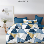 Постельное белье из поплина 2 спальное европростыня - П-256