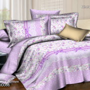 Постельное белье из поплина 2 спальное европростыня - П-624