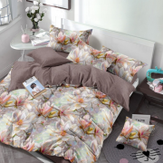 Постельное белье из поплина 2 спальное европростыня - П-642