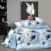 Постельное белье из поплина 2 спальное европростыня - П-647