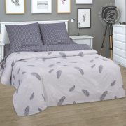 Постельное белье Зима-Лето из Бязи 2 спальное европростыня - Феникс