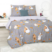 Постельное белье Зима-Лето из Бязи 1,5 спальное - Капигуси