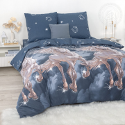 Постельное белье Зима-Лето из Бязи евро - Пегас