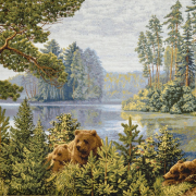  70x105 - Бор на озере
