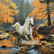 48x35 - Жеребенок на прогулке