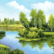  145x50 - Верxовье Волги